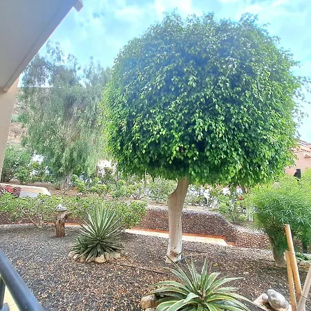 فندق Bonito Estudio En Cristianos En Complejo Con Piscina Y Cerca De Playa *